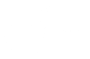 Francisco Sousa Dos Santos